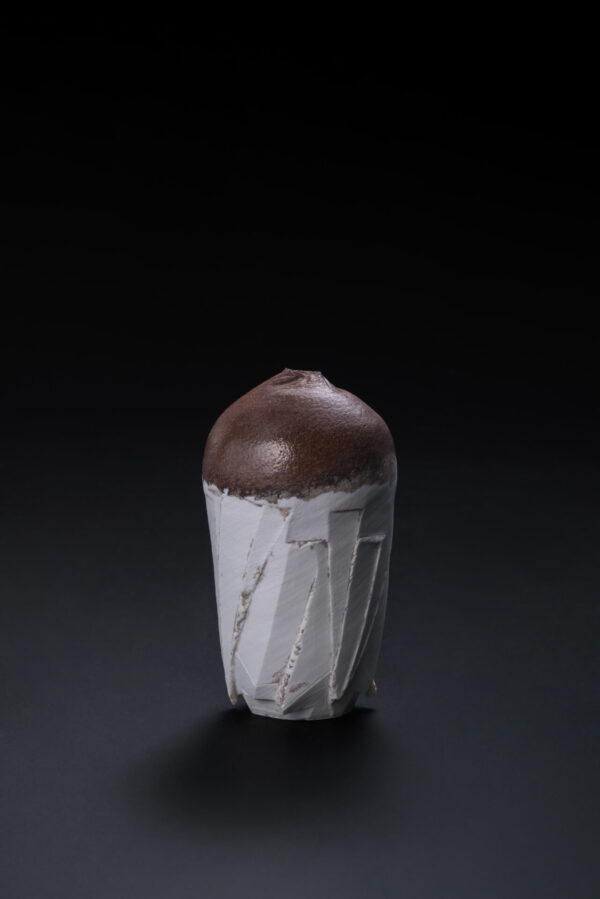 藤田 祥 作品